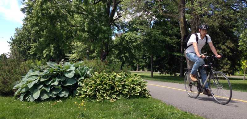 20140620dowslakepath