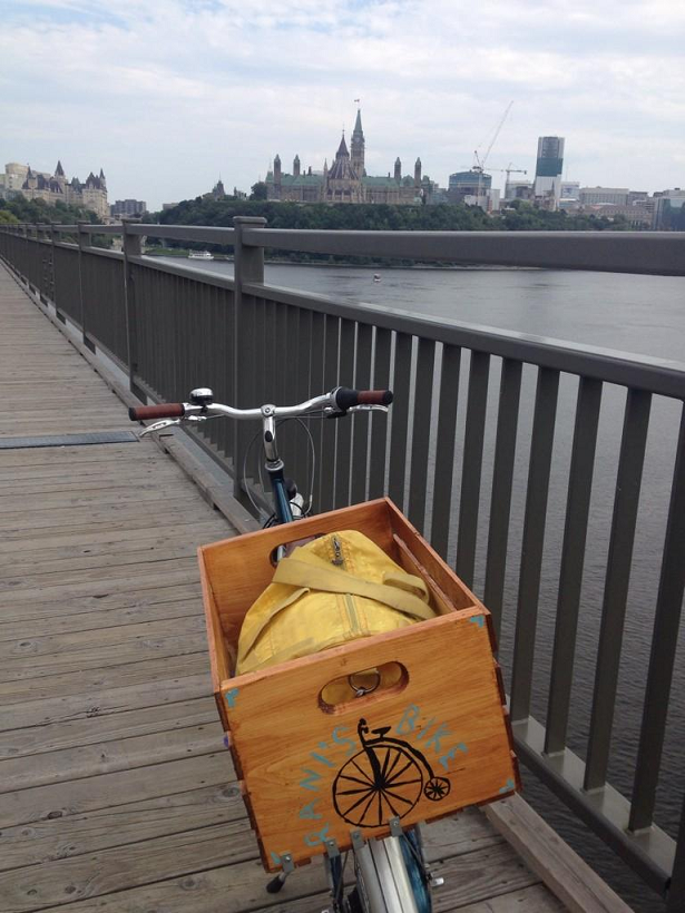 credit to Z M zed fed small