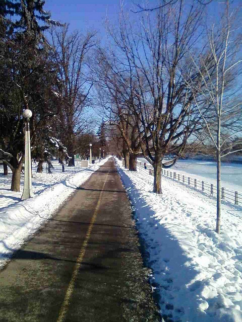 plowed path by Hans Moor