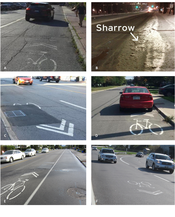 6 panel sharrows
