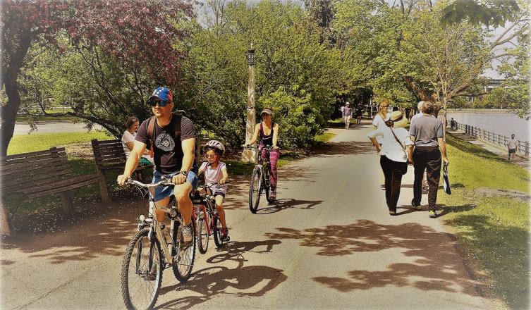 Family on bikes