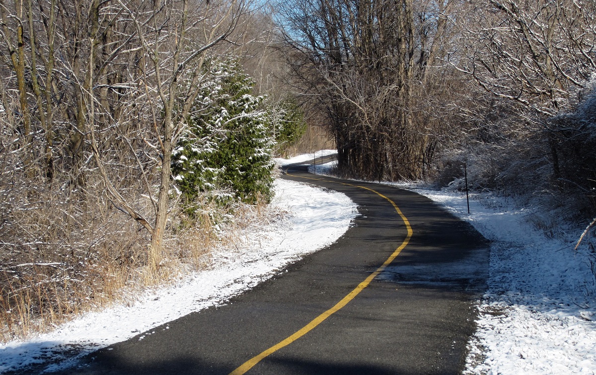 Pinecrest creek winter