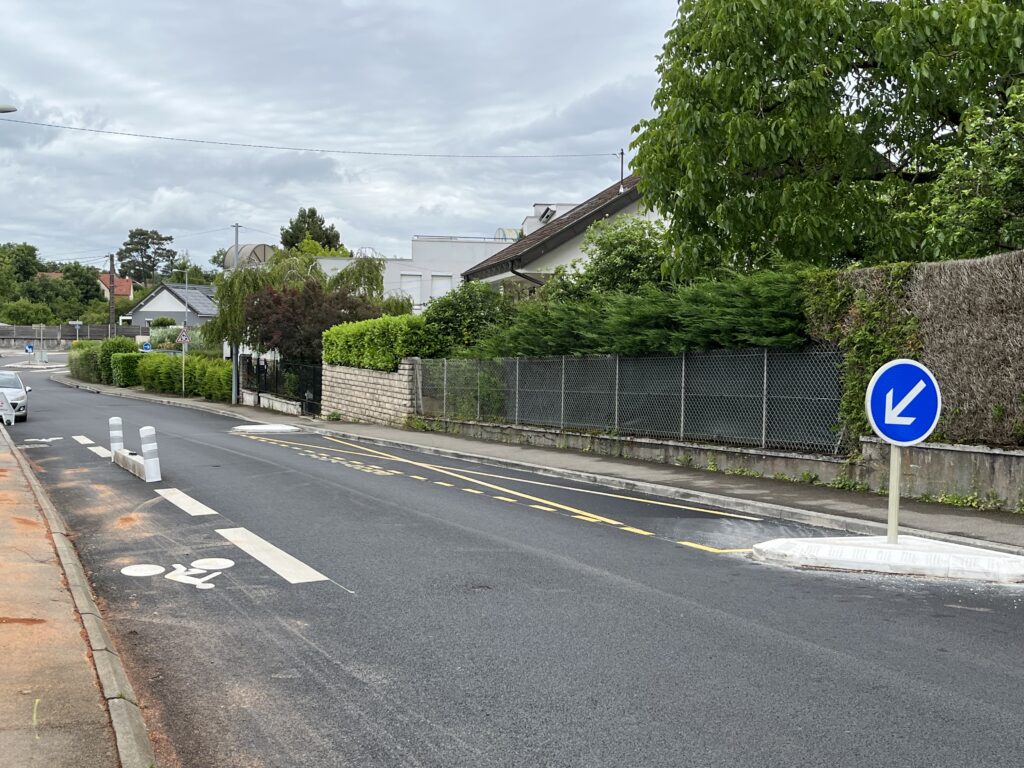 A chicane on a two-way street. To the right, delivery parking. To the left, a mini stretch of a bike lane.